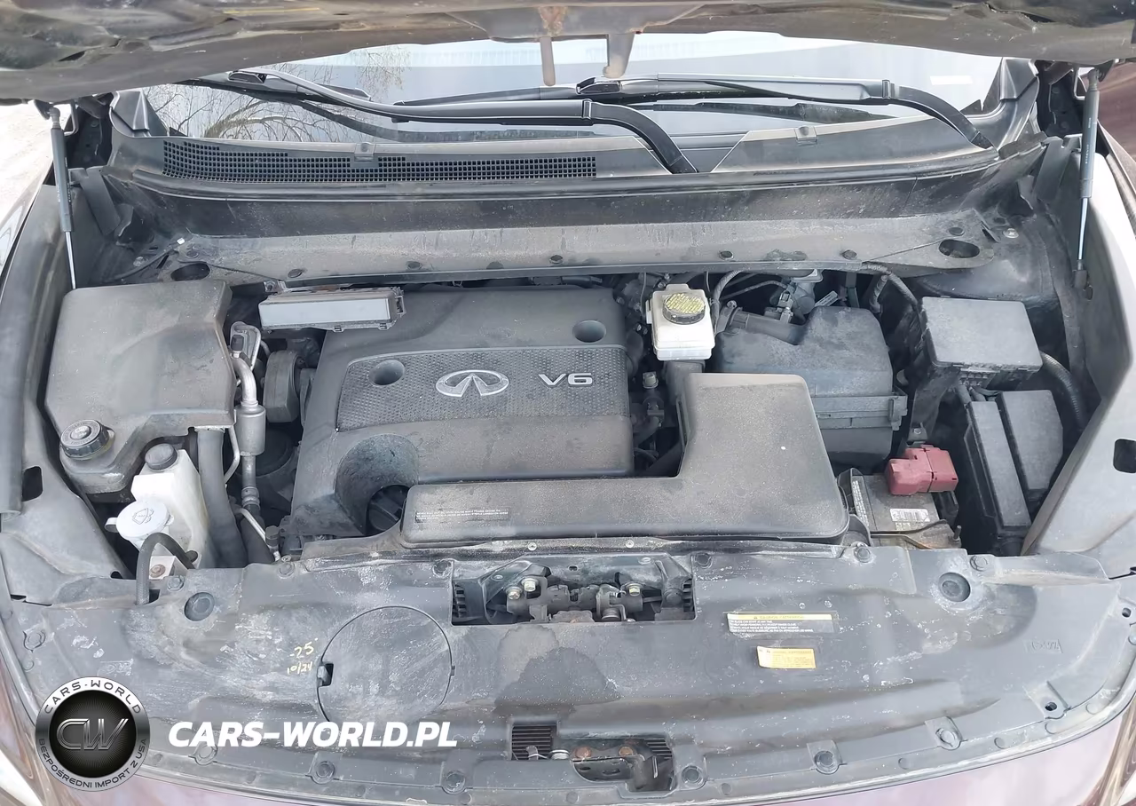 2015 Infiniti Qx60 VIN:5N1AL0MM5FC551116 - 10