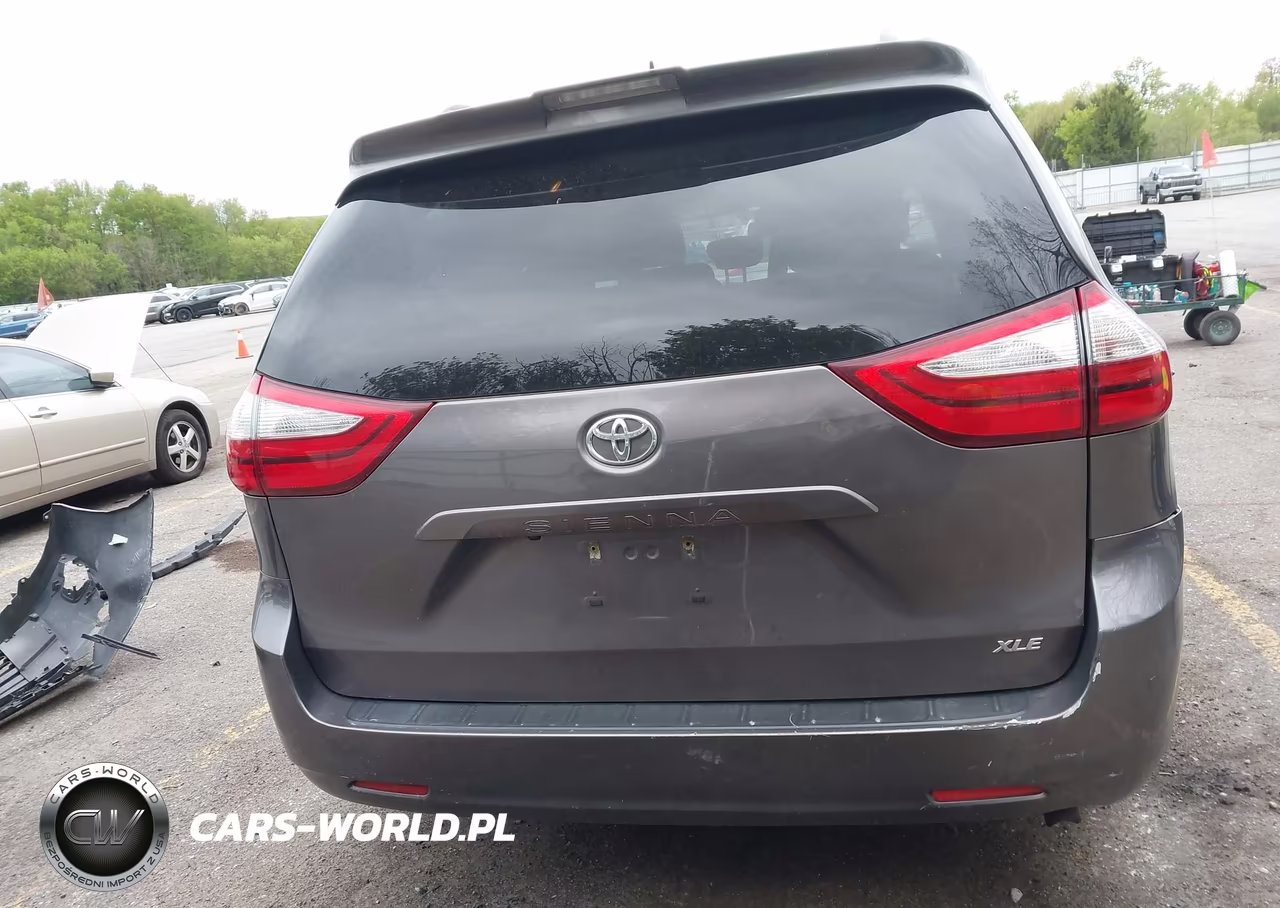 2019 Toyota Sienna Xle 8 Passenger VIN:5TDYZ3DC6KS992241 - 16