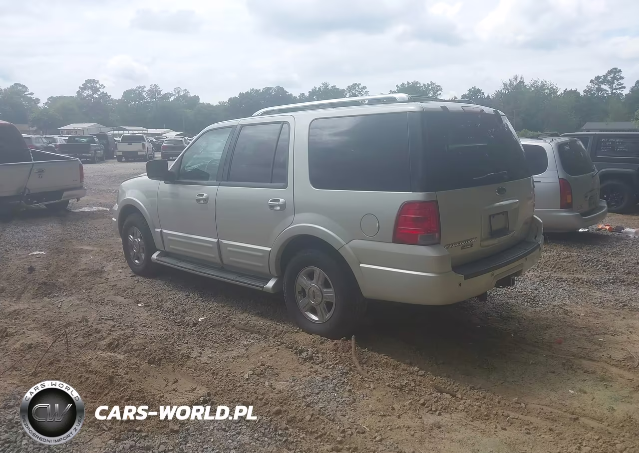2005 Ford Expedition Limited VIN:1FMFU20565LA78189 - 3