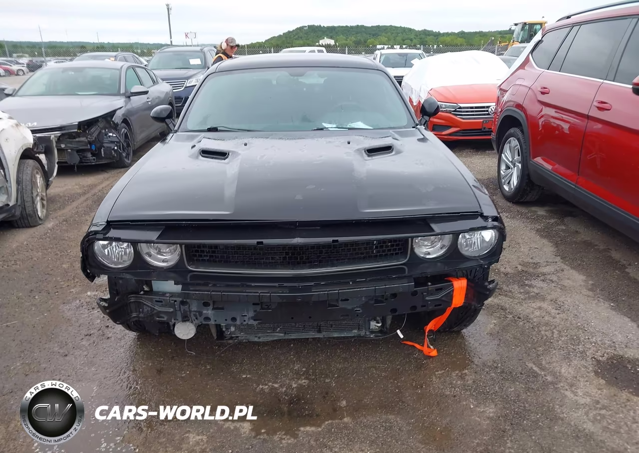2013 Dodge Challenger Sxt VIN:2C3CDYAG5DH700372 - 13