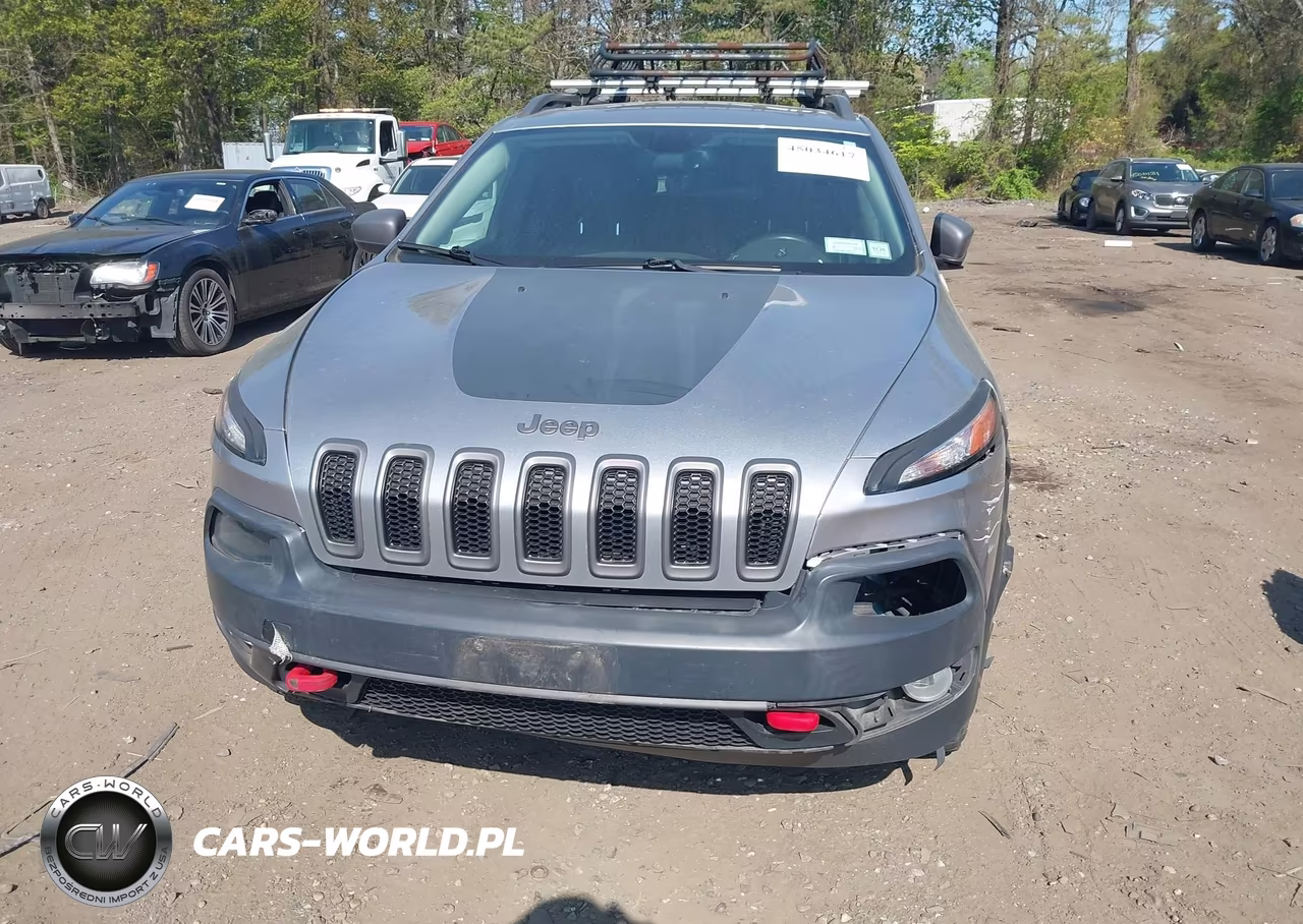 2014 Jeep Cherokee Trailhawk VIN:1C4PJMBS5EW111505 - 12