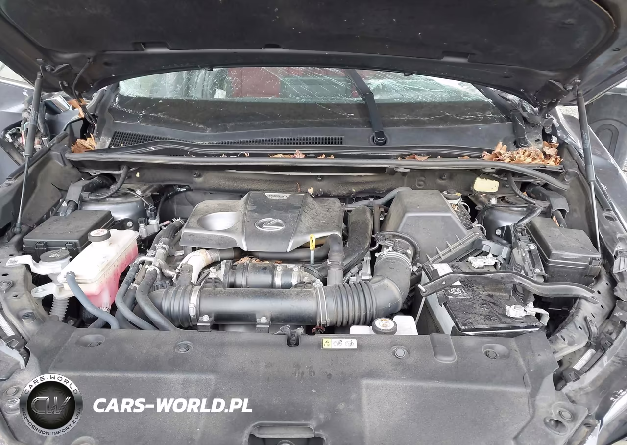 2021 Lexus Nx 300 VIN:JTJDARDZ0M2236649 - 10