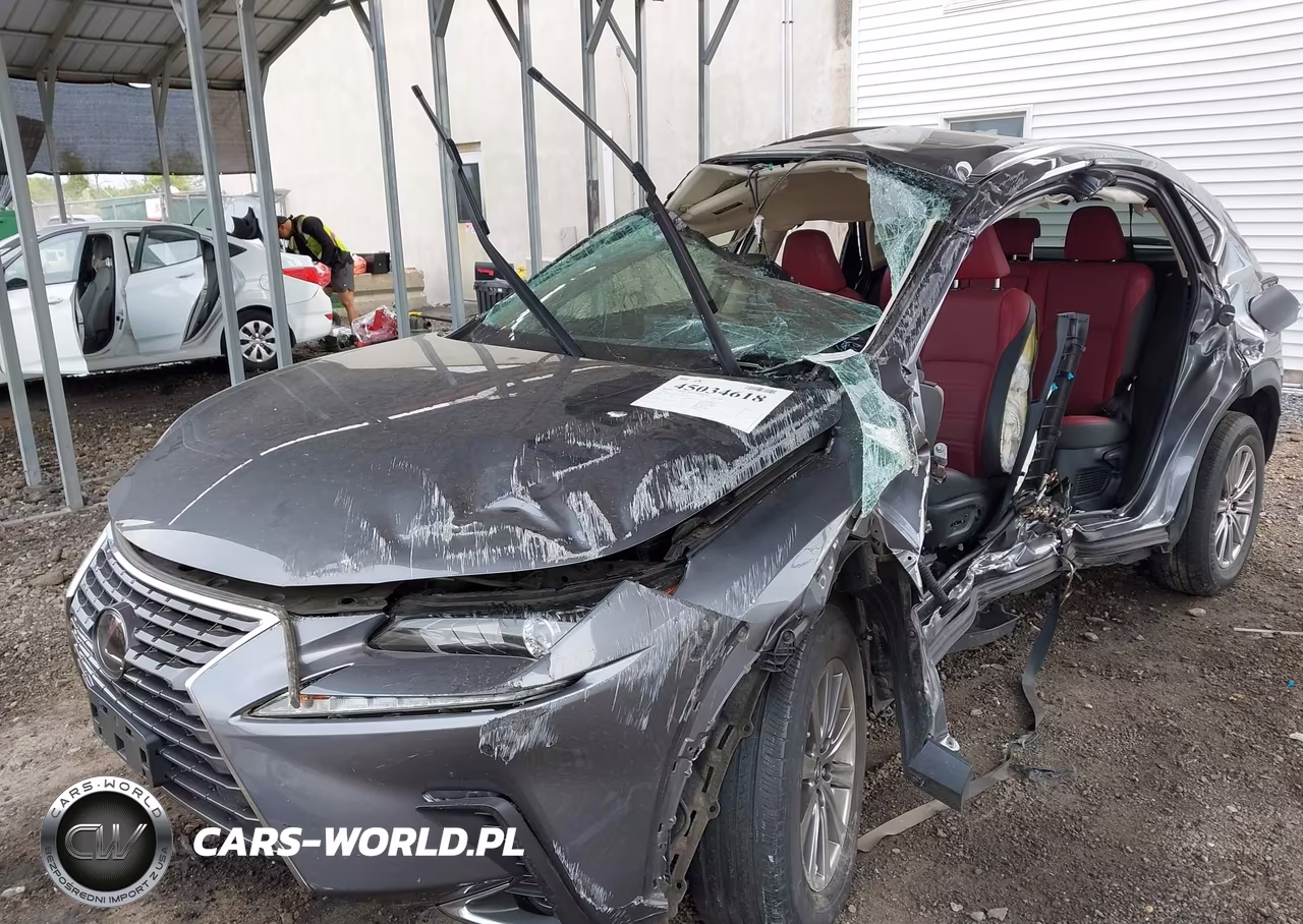 2021 Lexus Nx 300 VIN:JTJDARDZ0M2236649 - 13