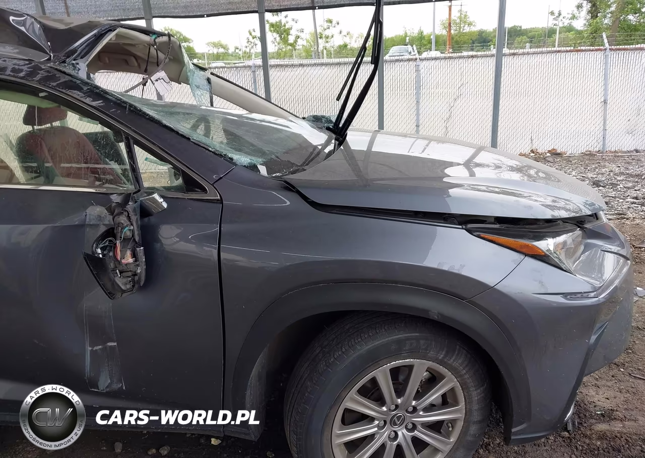 2021 Lexus Nx 300 VIN:JTJDARDZ0M2236649 - 17