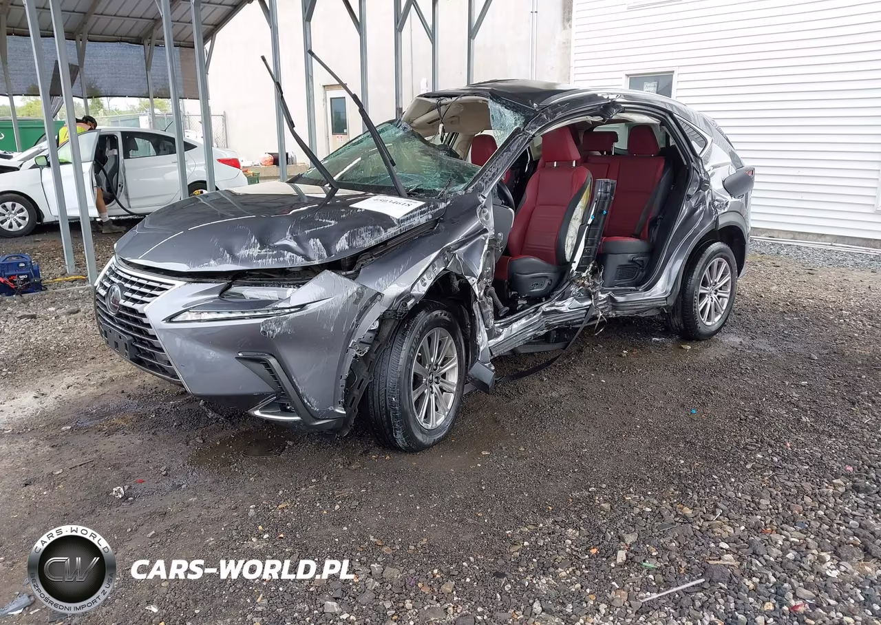 2021 Lexus Nx 300 VIN:JTJDARDZ0M2236649 - 2