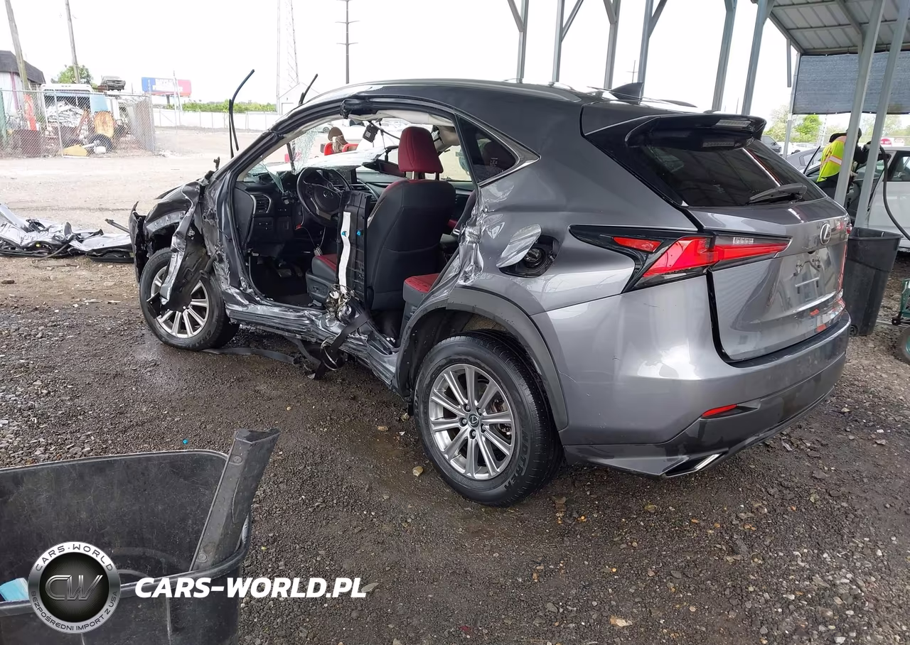 2021 Lexus Nx 300 VIN:JTJDARDZ0M2236649 - 3