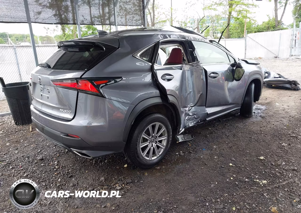 2021 Lexus Nx 300 VIN:JTJDARDZ0M2236649 - 4