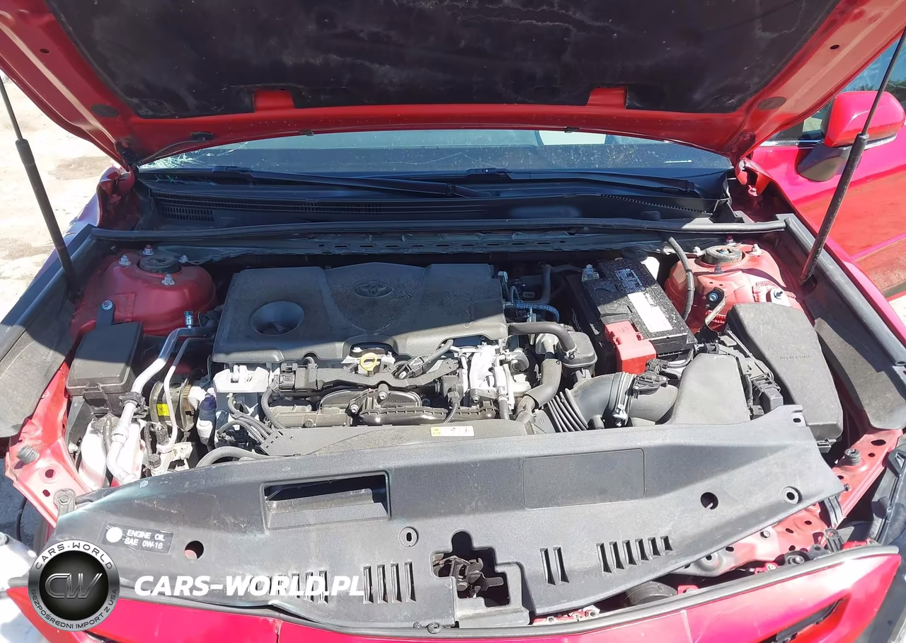 2019 Toyota Camry Xse VIN:4T1B61HK0KU170689 - 10