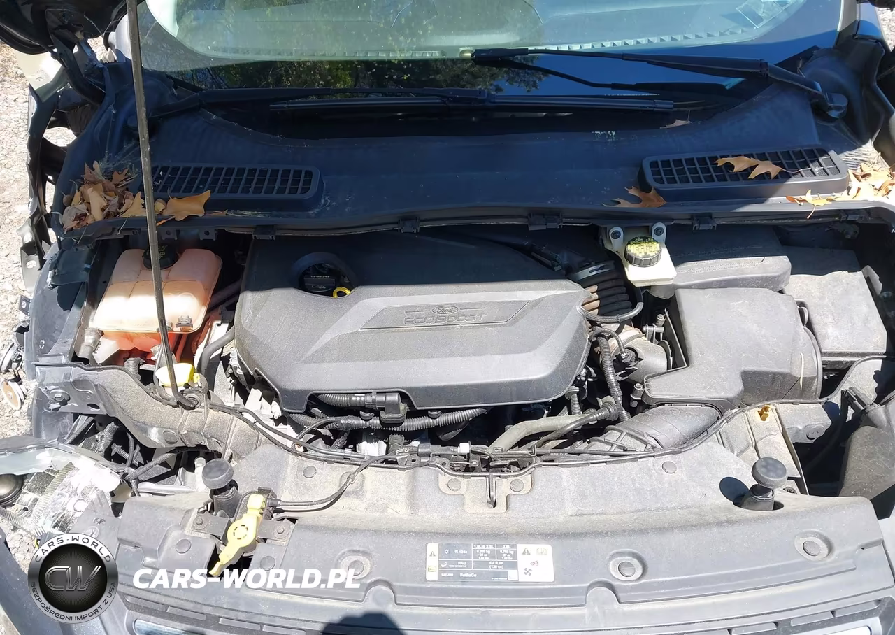 2015 Ford Escape Se VIN:1FMCU9GX8FUA02116 - 10