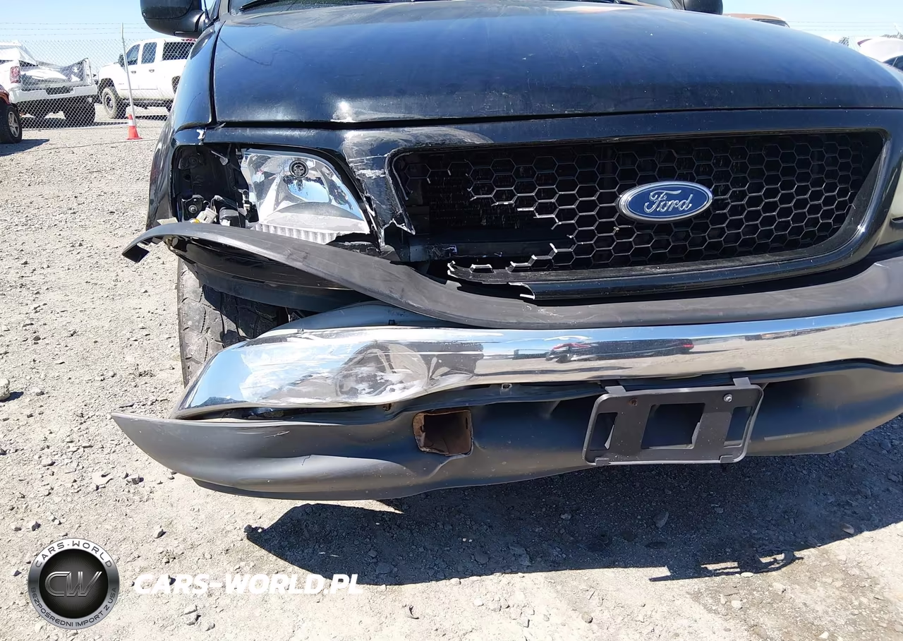 1999 Ford F-150 Lariat-Work Series-Xl-Xlt VIN:1FTRX17W2XKB78901 - 12