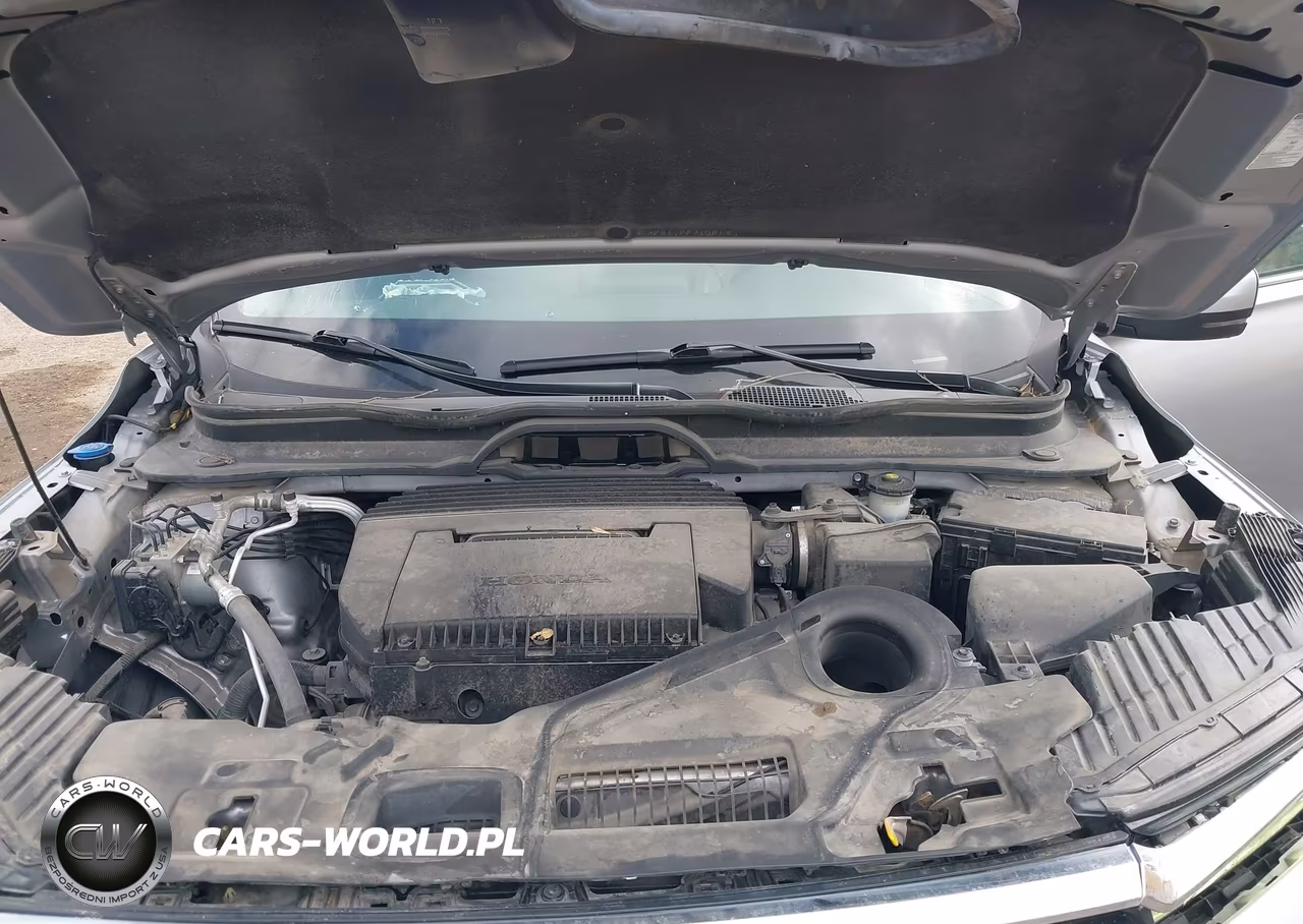 2024 Honda Pilot Ex-L VIN:5FNYG2H48RB007312 - 10