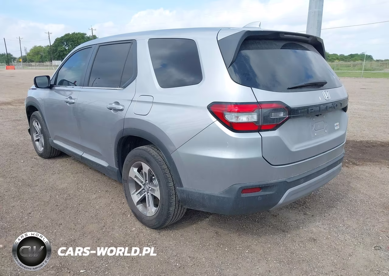 2024 Honda Pilot Ex-L VIN:5FNYG2H48RB007312 - 3