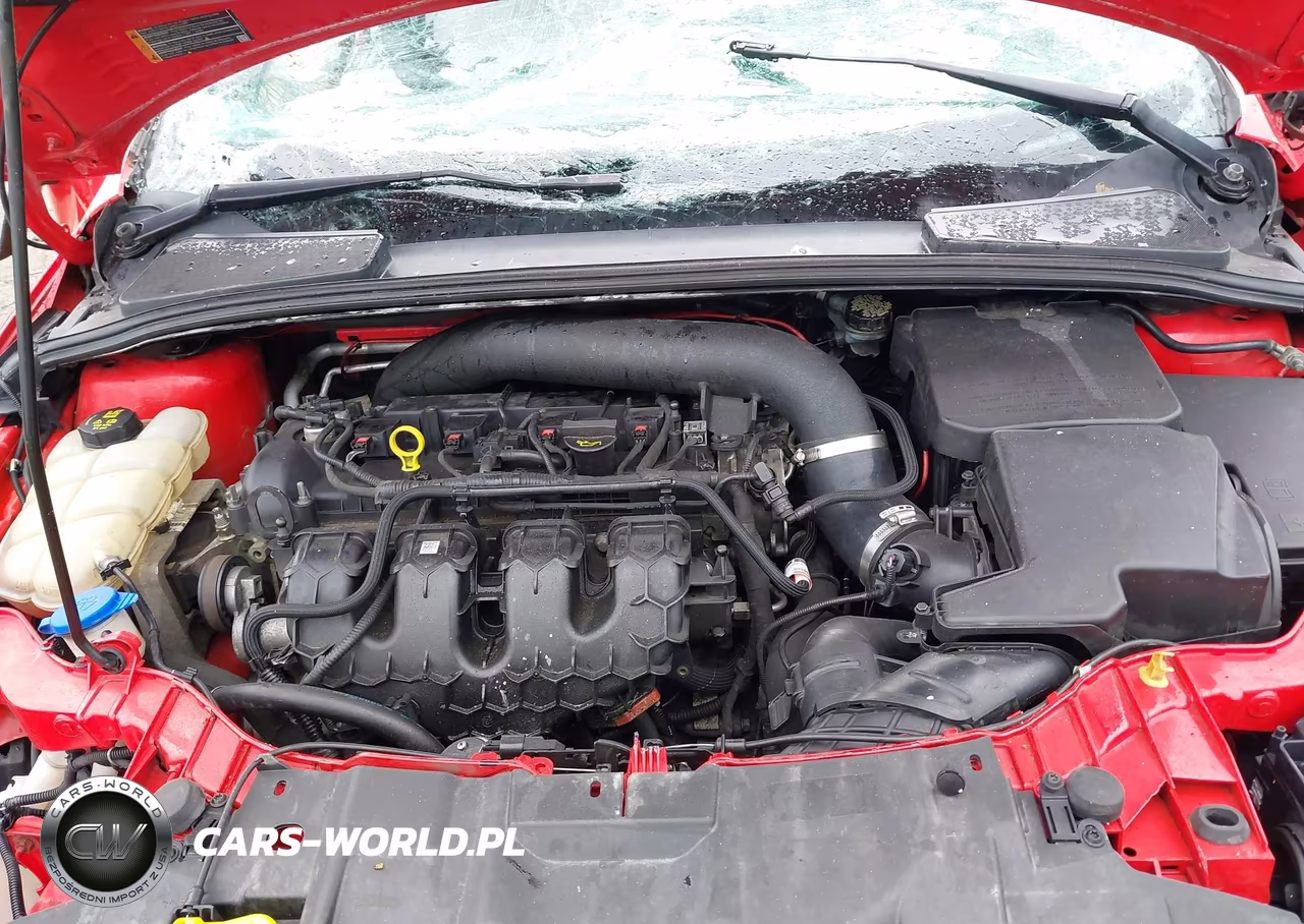 2015 Ford Focus St VIN:1FADP3L9XFL339211 - 10