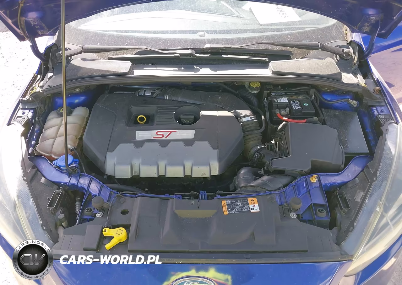 2015 Ford Focus St VIN:1FADP3L95FL324535 - 10