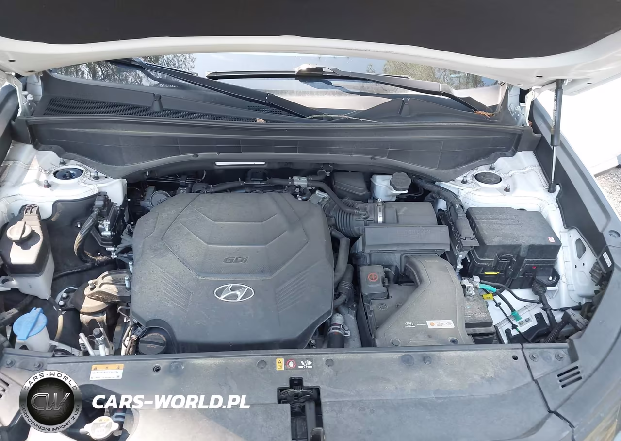 2024 Hyundai Palisade Sel VIN:KM8R2DGE2RU674713 - 10