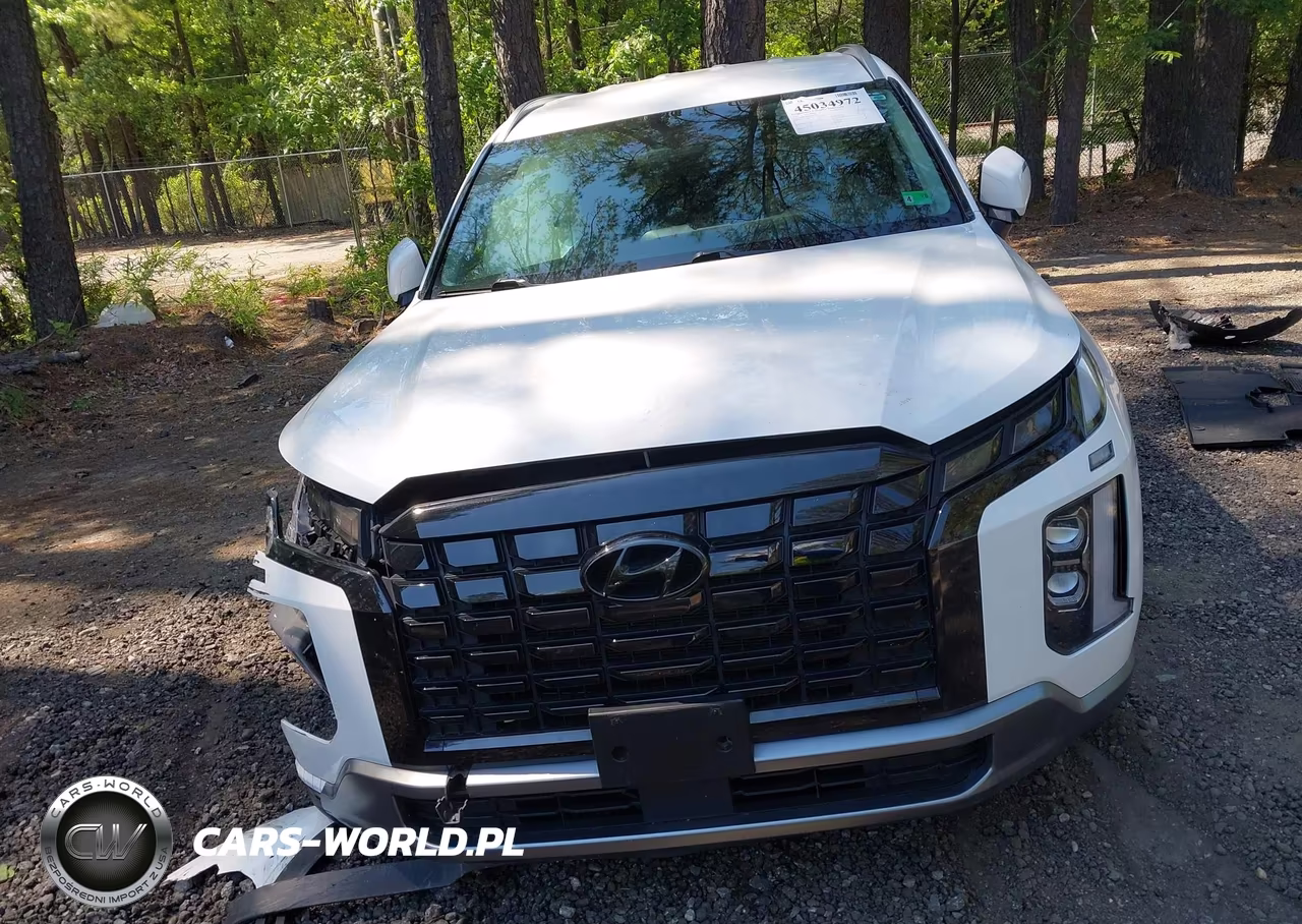 2024 Hyundai Palisade Sel VIN:KM8R2DGE2RU674713 - 12