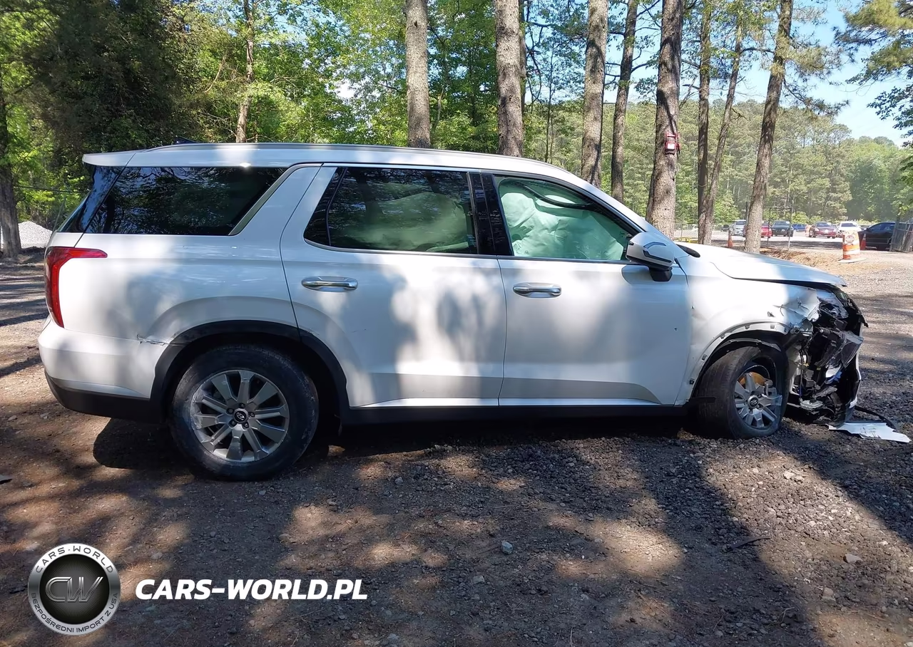 2024 Hyundai Palisade Sel VIN:KM8R2DGE2RU674713 - 13