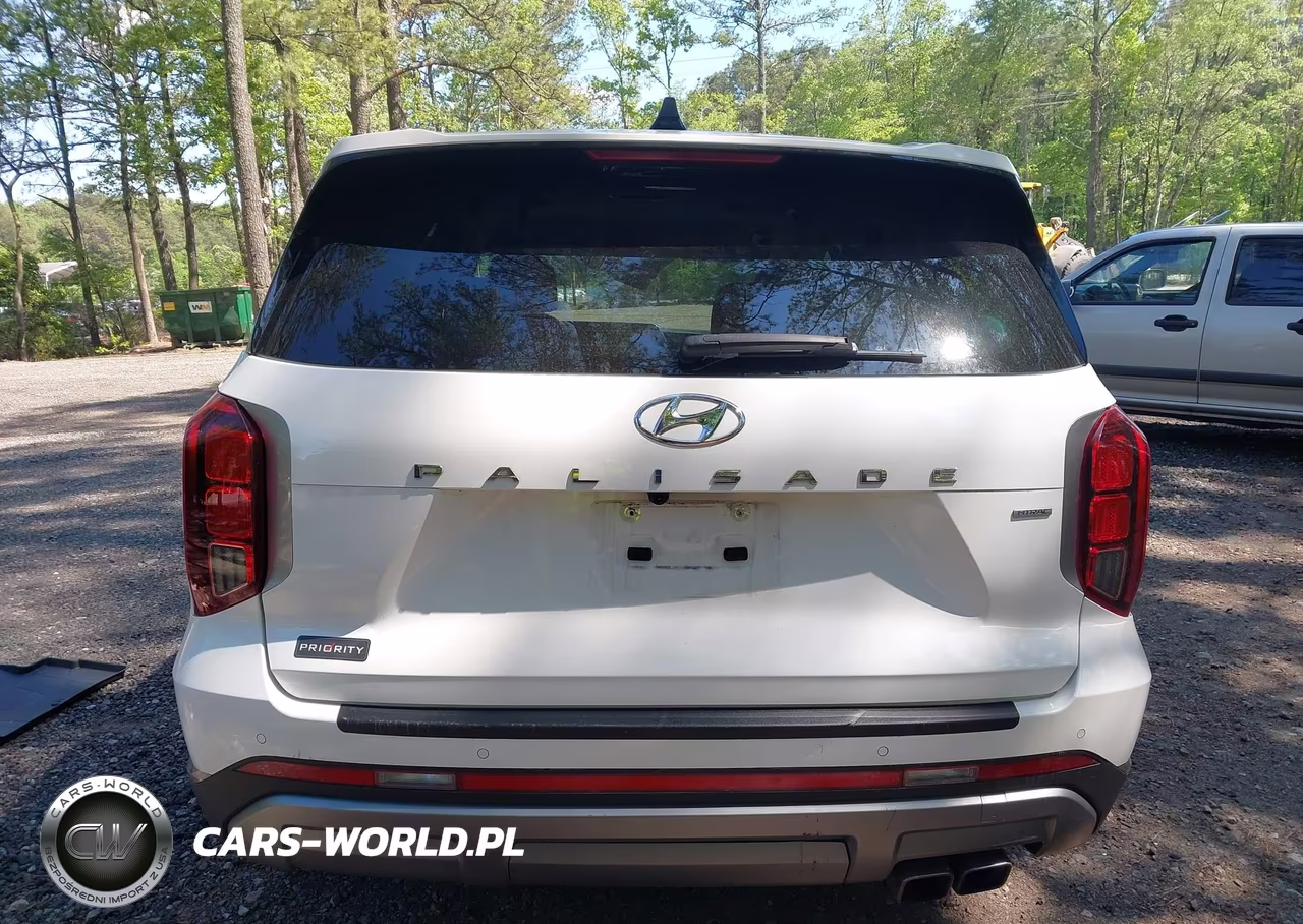 2024 Hyundai Palisade Sel VIN:KM8R2DGE2RU674713 - 16