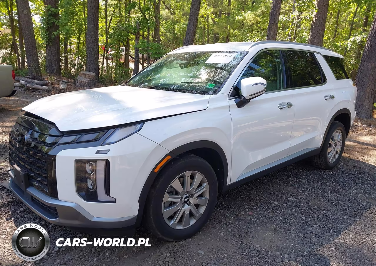 2024 Hyundai Palisade Sel VIN:KM8R2DGE2RU674713 - 2