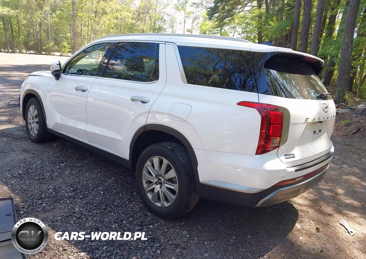 2024 Hyundai Palisade Sel VIN:KM8R2DGE2RU674713 - 3