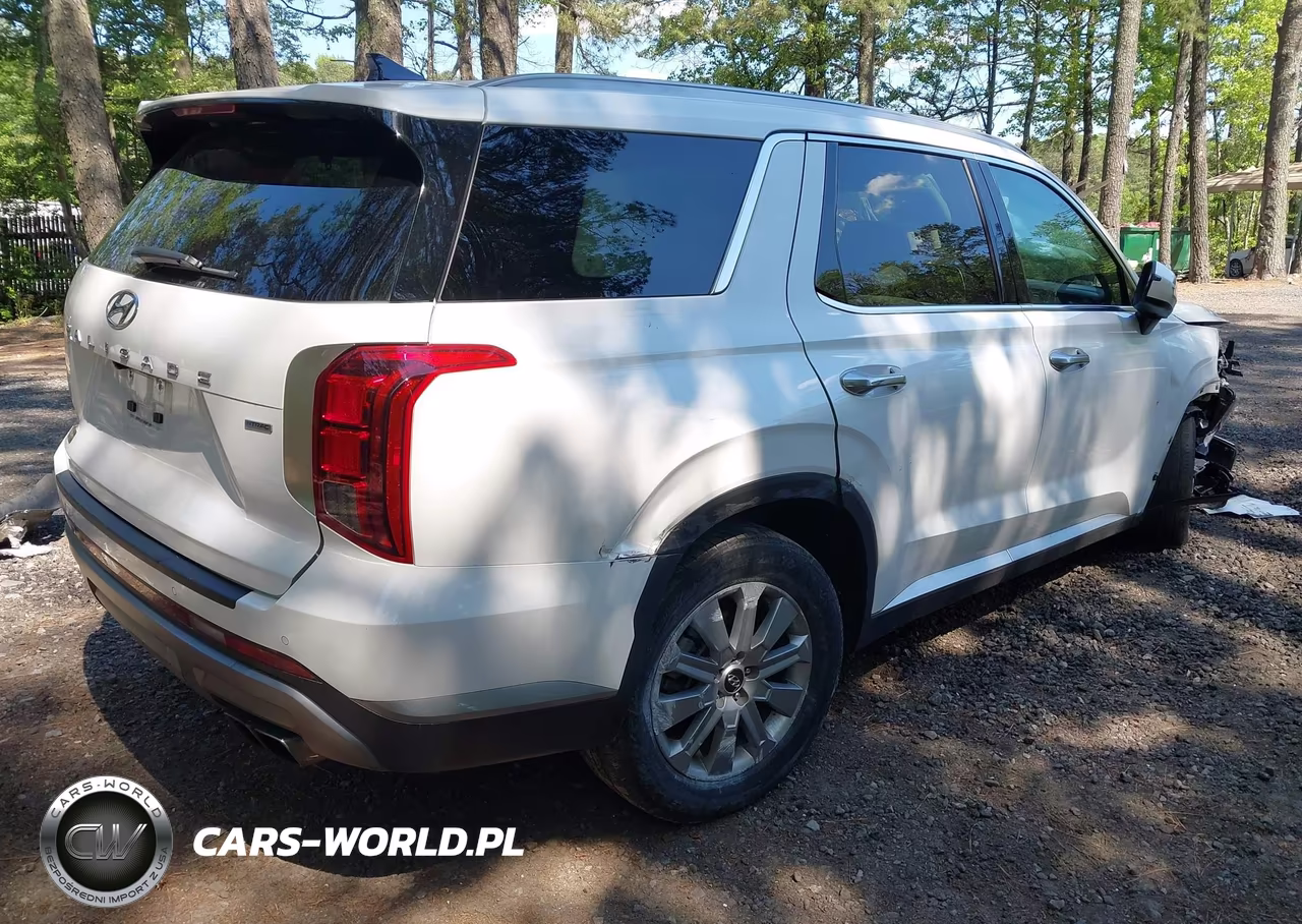 2024 Hyundai Palisade Sel VIN:KM8R2DGE2RU674713 - 4