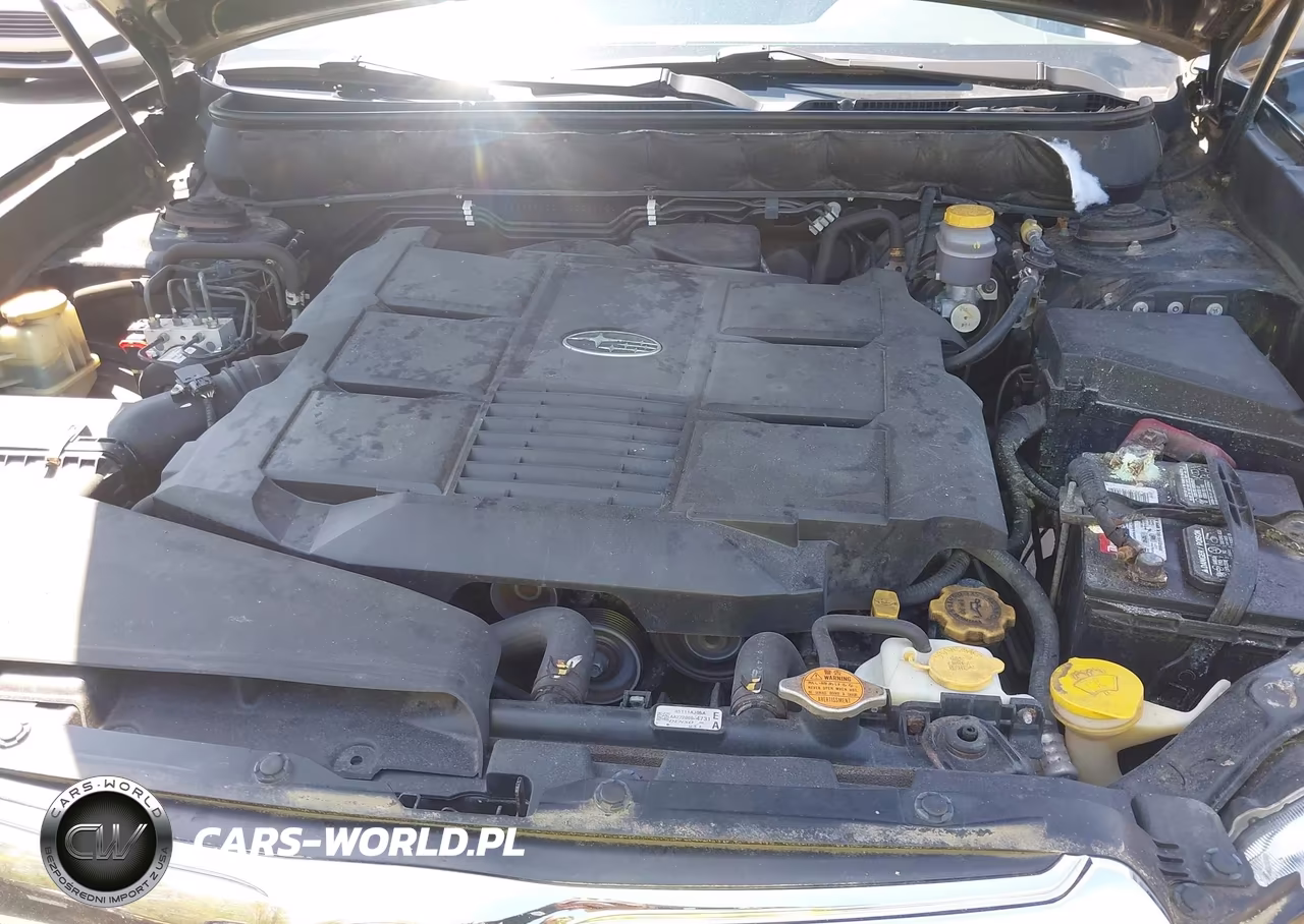 2010 Subaru Outback 3.6R Limited VIN:4S4BRDJC1A2320010 - 10