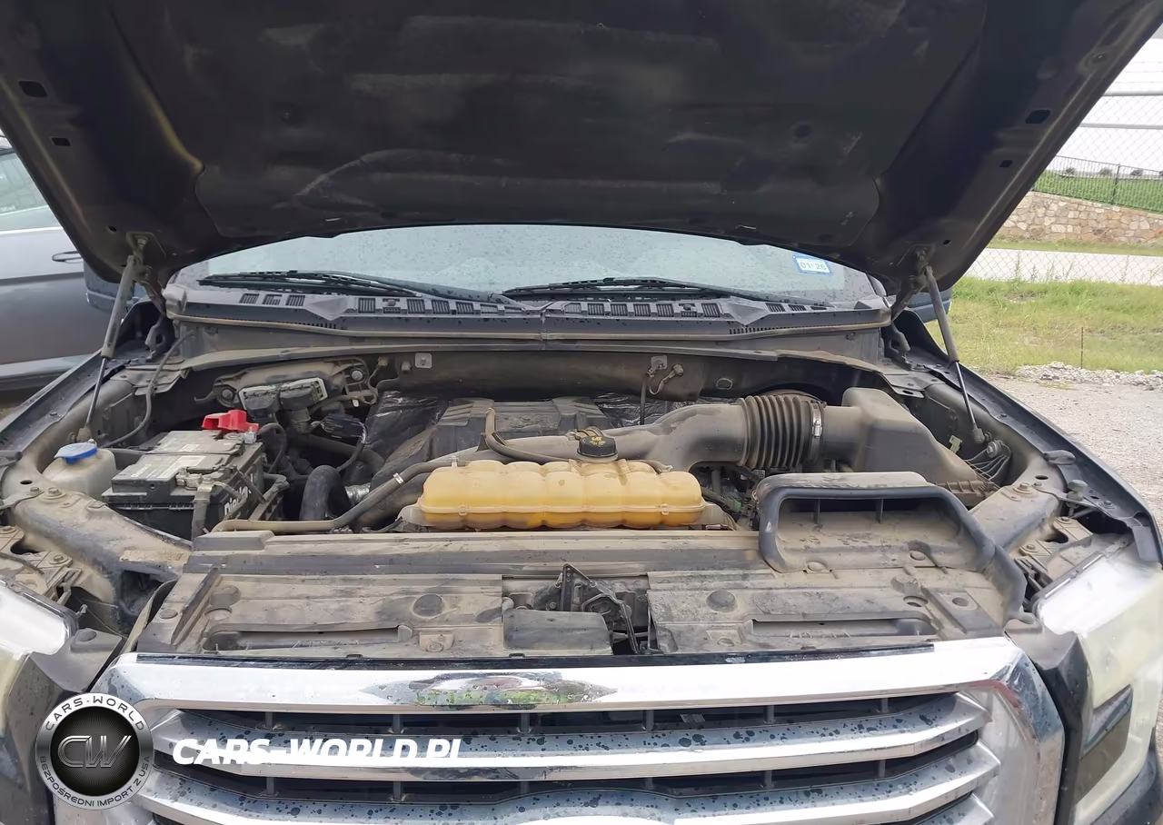 2015 Ford F-150 Xlt VIN:1FTEW1CP4FKF23134 - 10
