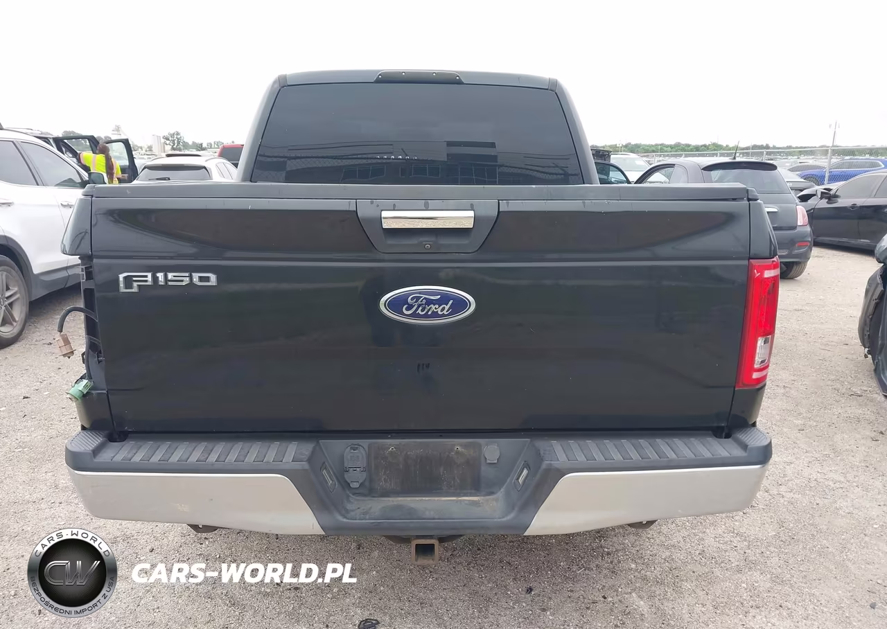 2015 Ford F-150 Xlt VIN:1FTEW1CP4FKF23134 - 16