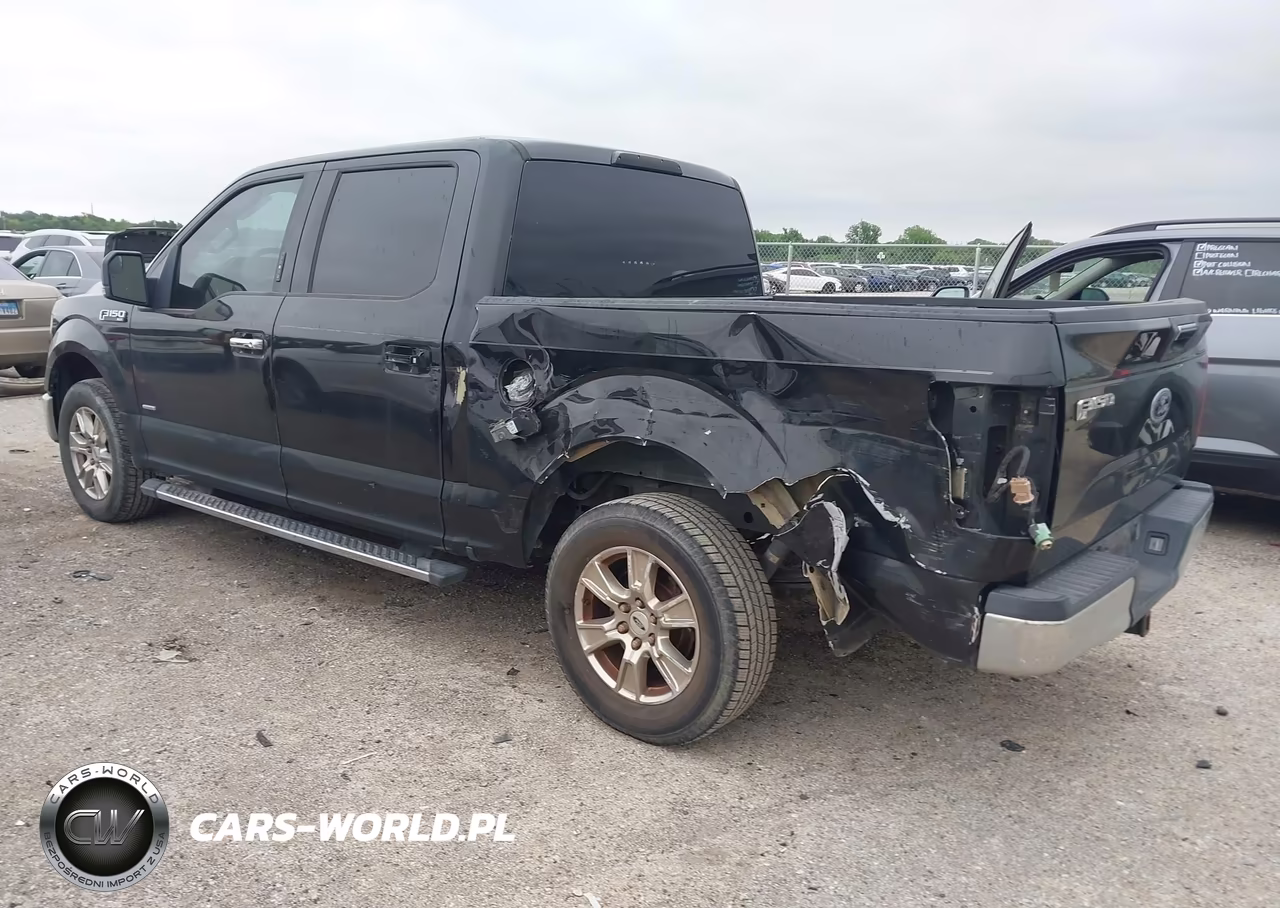 2015 Ford F-150 Xlt VIN:1FTEW1CP4FKF23134 - 3