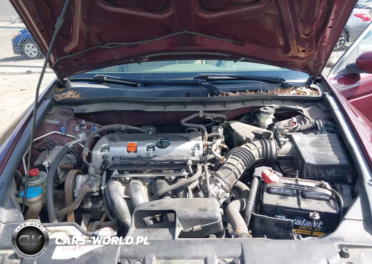 2010 Honda Accord 2.4 Lx VIN:1HGCP2F36AA145644 - 10
