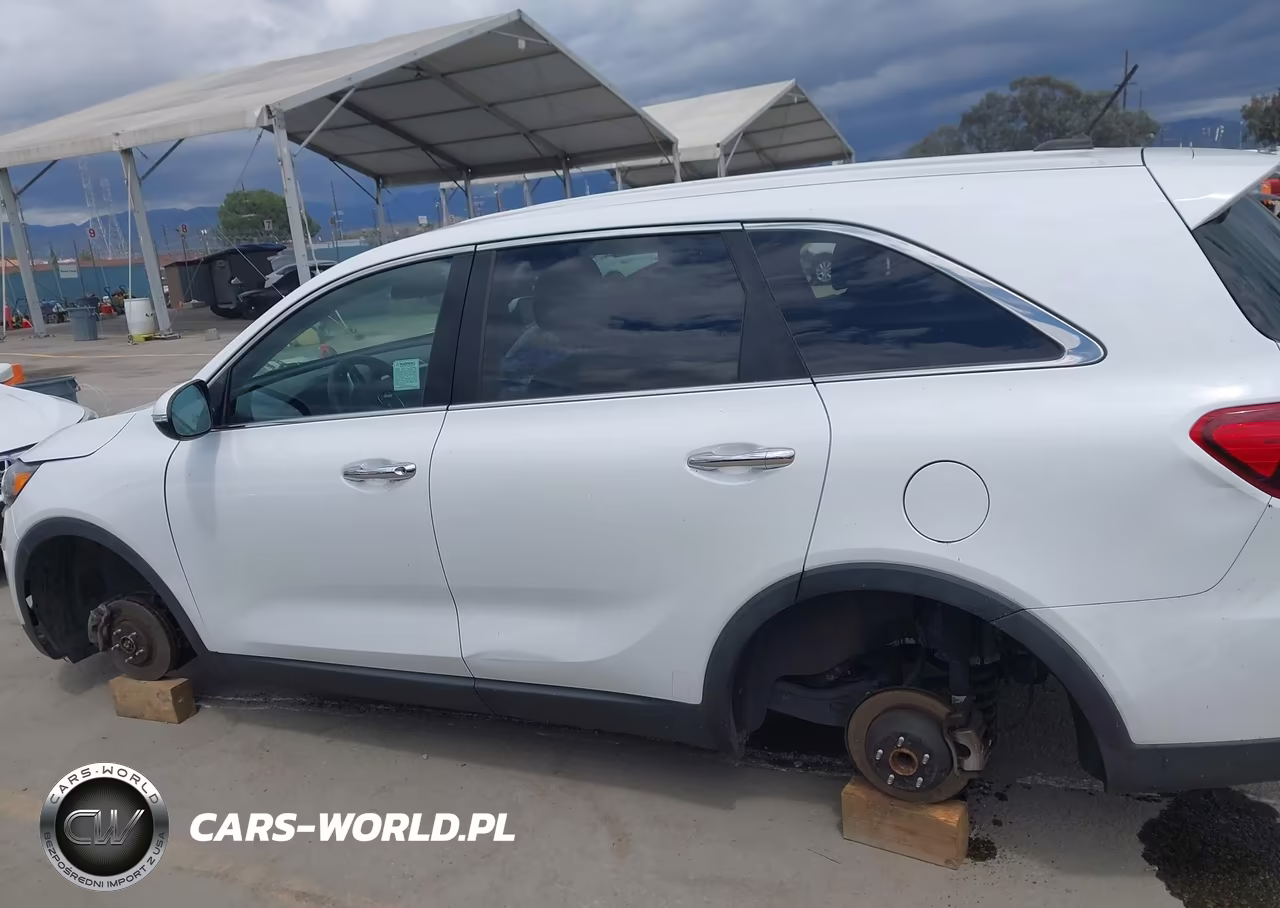 2020 Kia Sorento 2.4L Lx VIN:5XYPG4A35LG624188 - 13