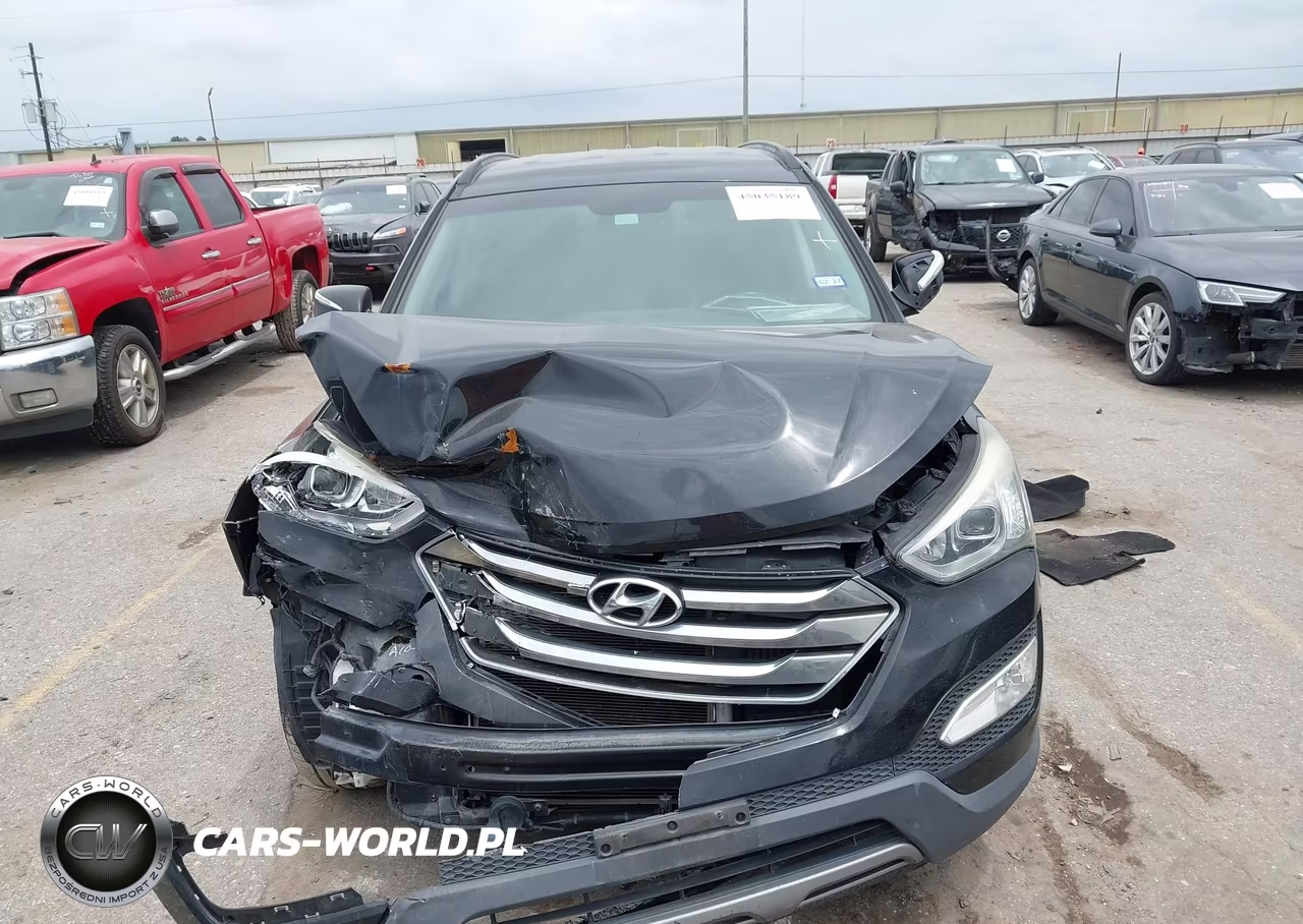 2014 Hyundai Santa Fe Sport 2.0L Turbo VIN:5XYZUDLA6EG142846 - 12