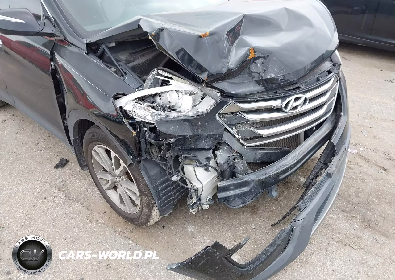 2014 Hyundai Santa Fe Sport 2.0L Turbo VIN:5XYZUDLA6EG142846 - 6