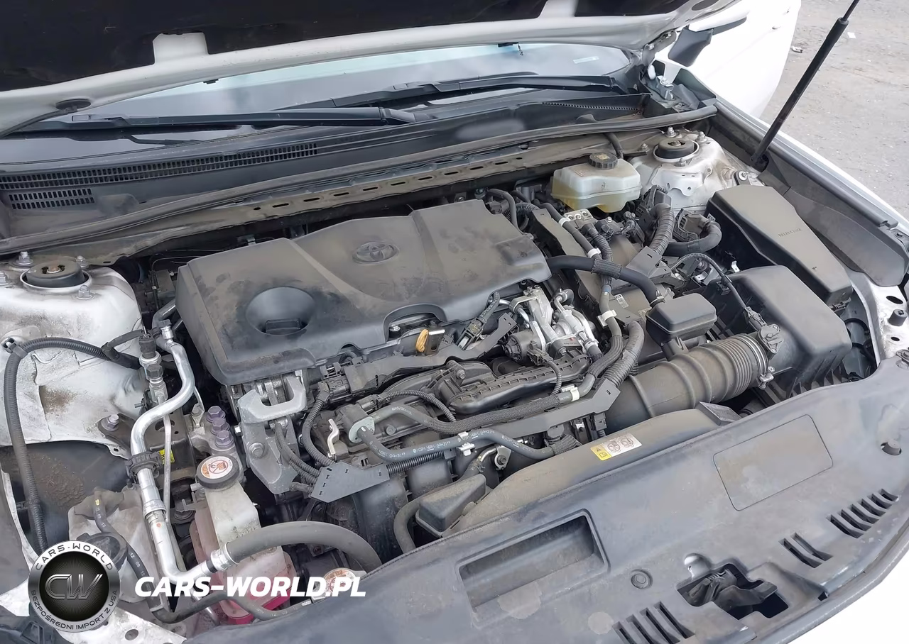 2020 Toyota Camry Le Hybrid VIN:4T1C31AK5LU530323 - 10