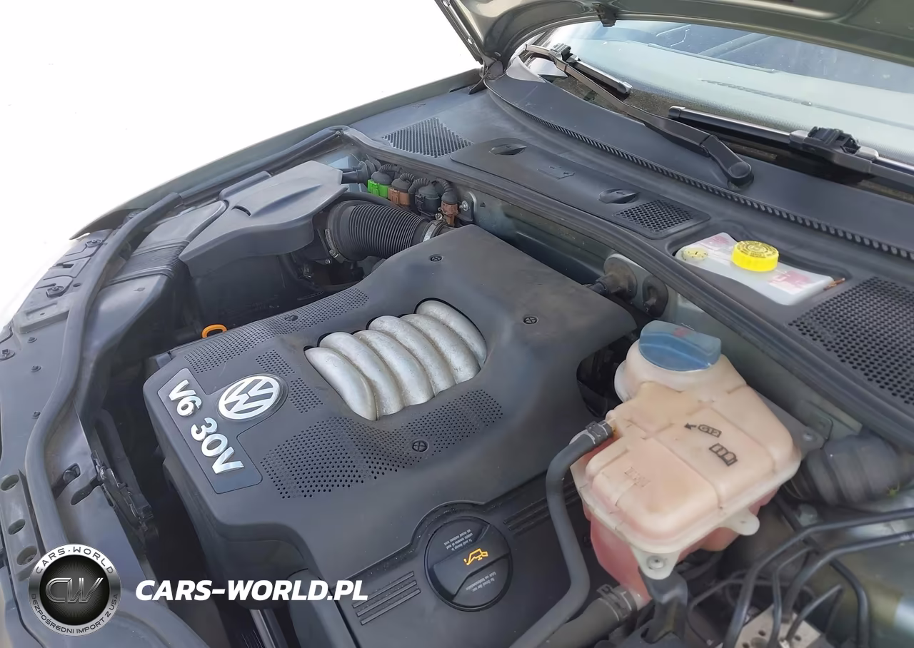 2004 Volkswagen Passat Glx VIN:WVWRH63B74P198377 - 10