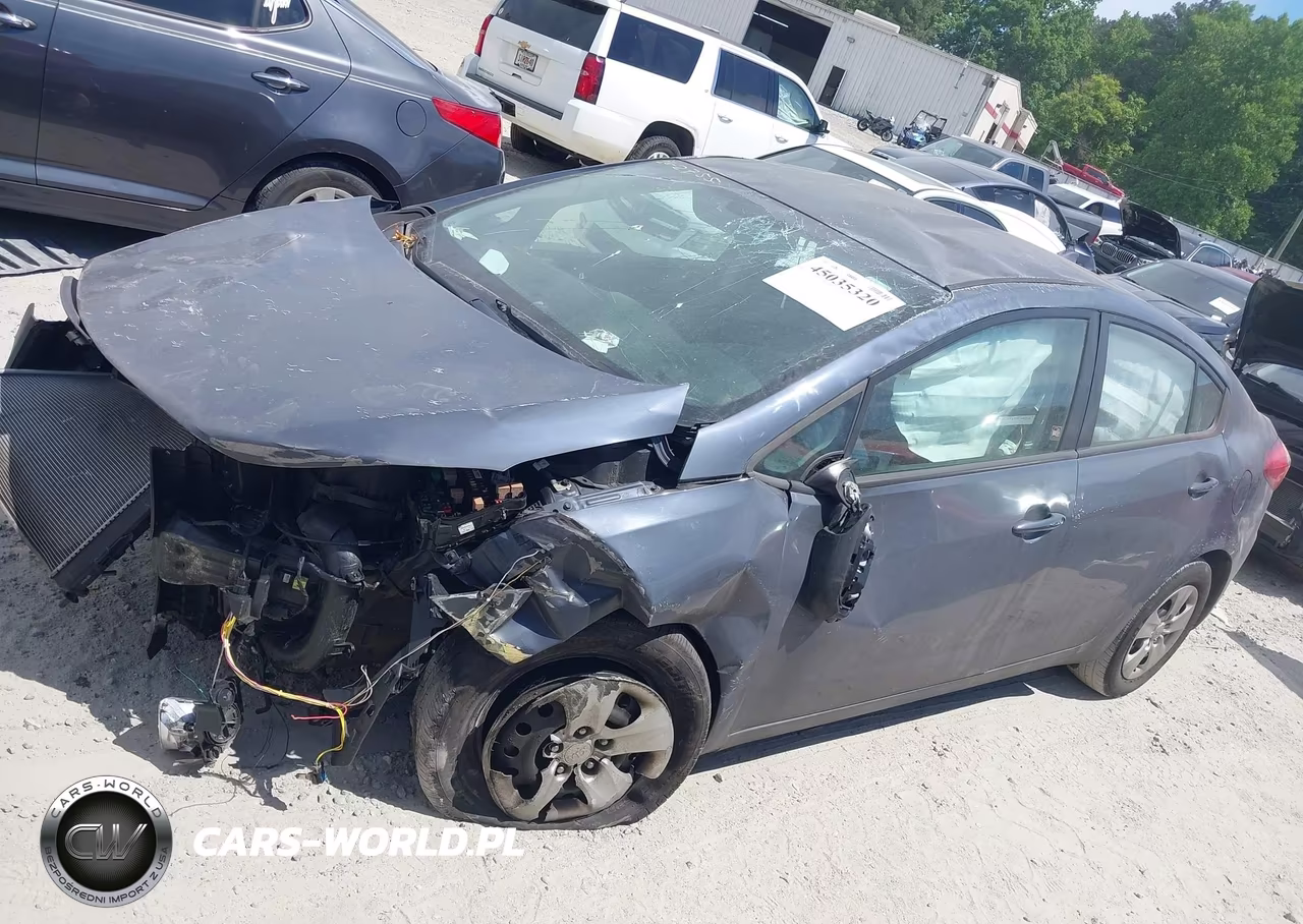 2016 Kia Forte Lx VIN:KNAFK4A67G5551955 - 13
