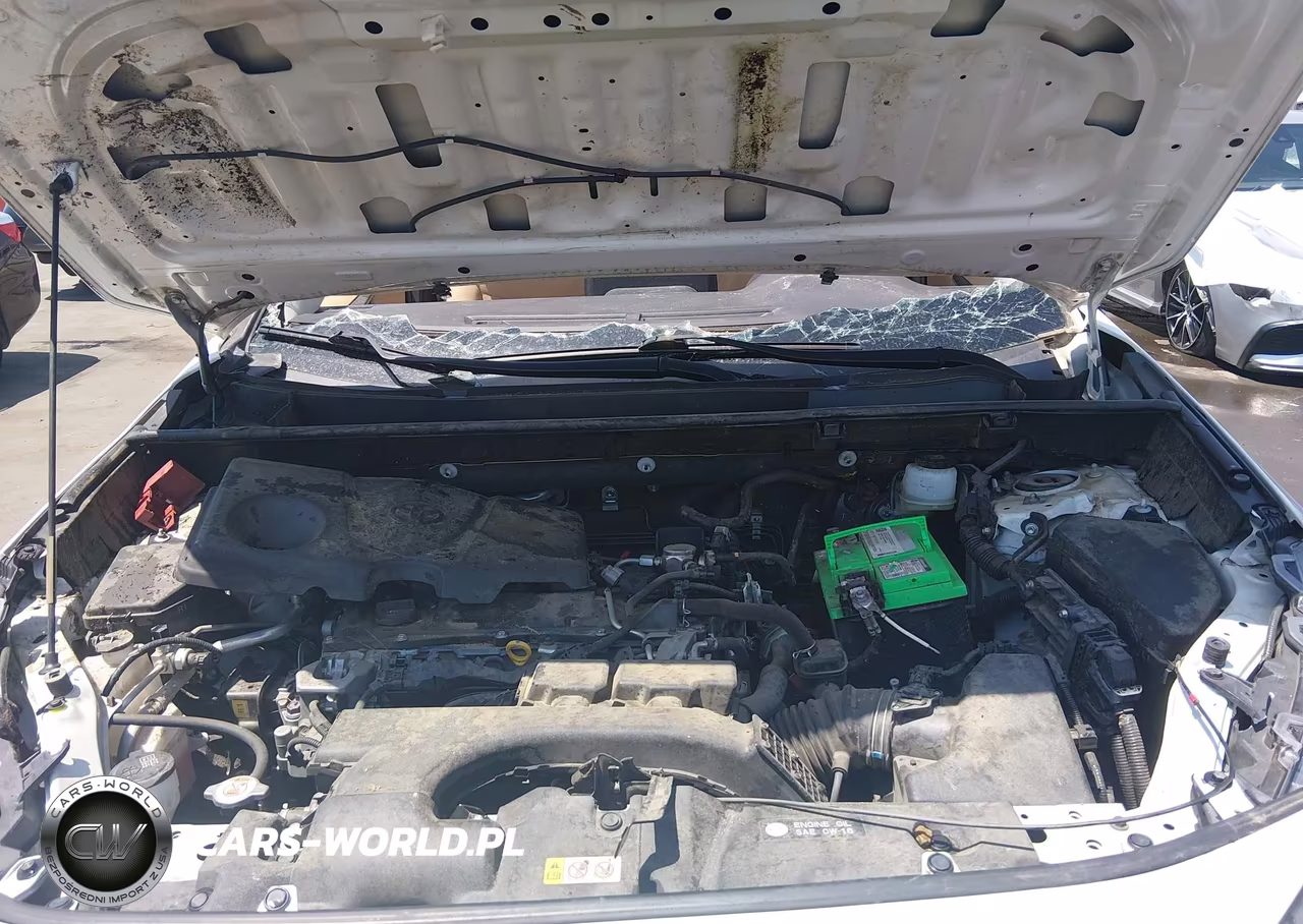 2019 Toyota Rav4 Le VIN:JTMH1RFV8KJ005774 - 10