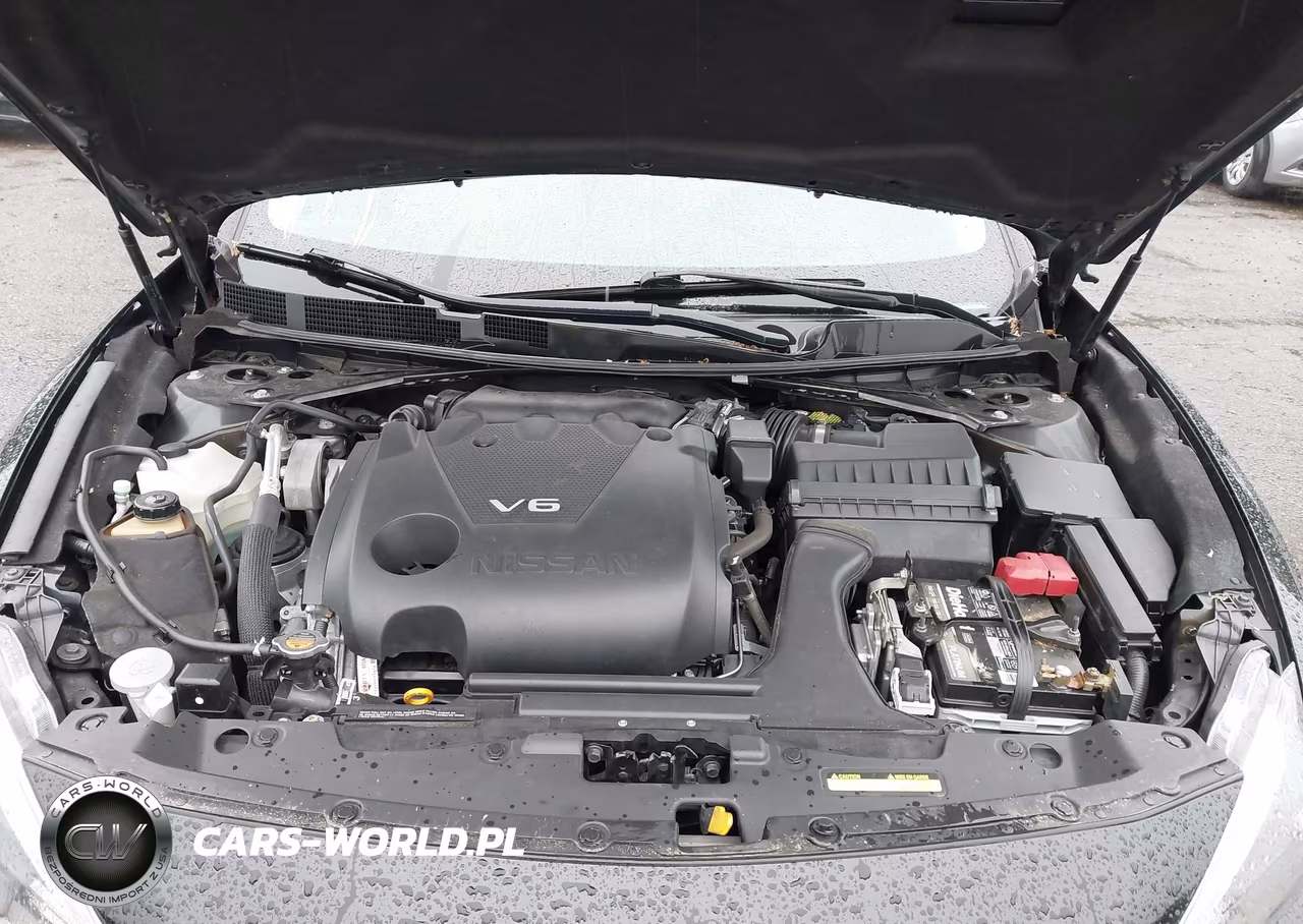 2016 Nissan Maxima 3.5 Platinum-3.5 S-3.5 Sl-3.5 Sr-3.5 Sv VIN:1N4AA6AP2GC424360 - 10