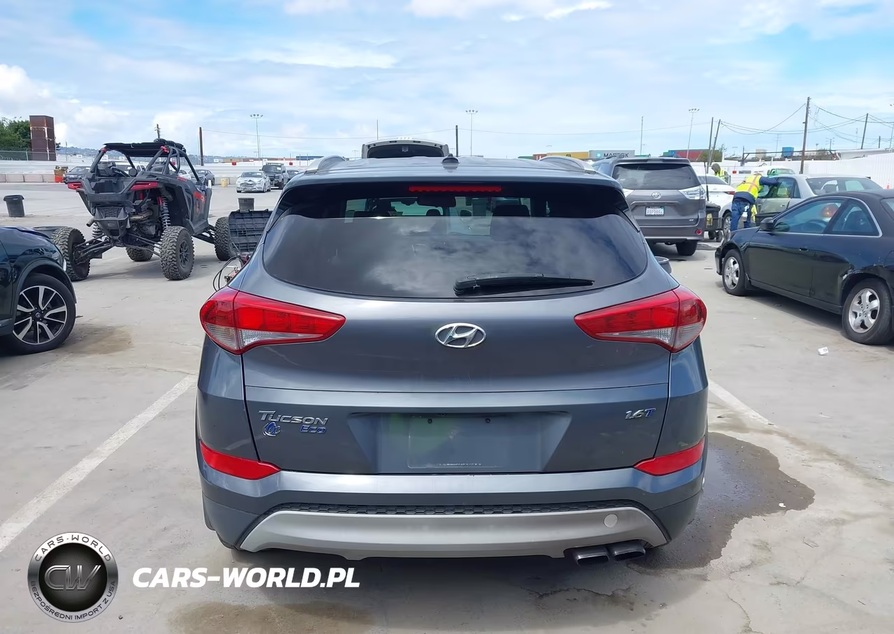 2017 Hyundai Tucson Eco VIN:KM8J33A20HU348314 - 16