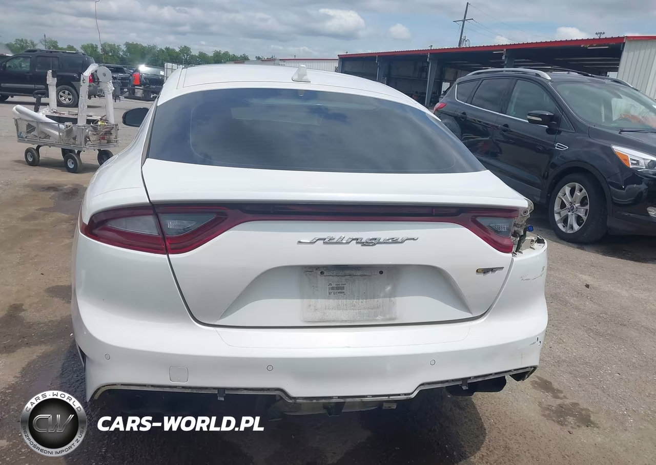 2018 Kia Stinger Gt2 VIN:KNAE55LC9J6017952 - 16