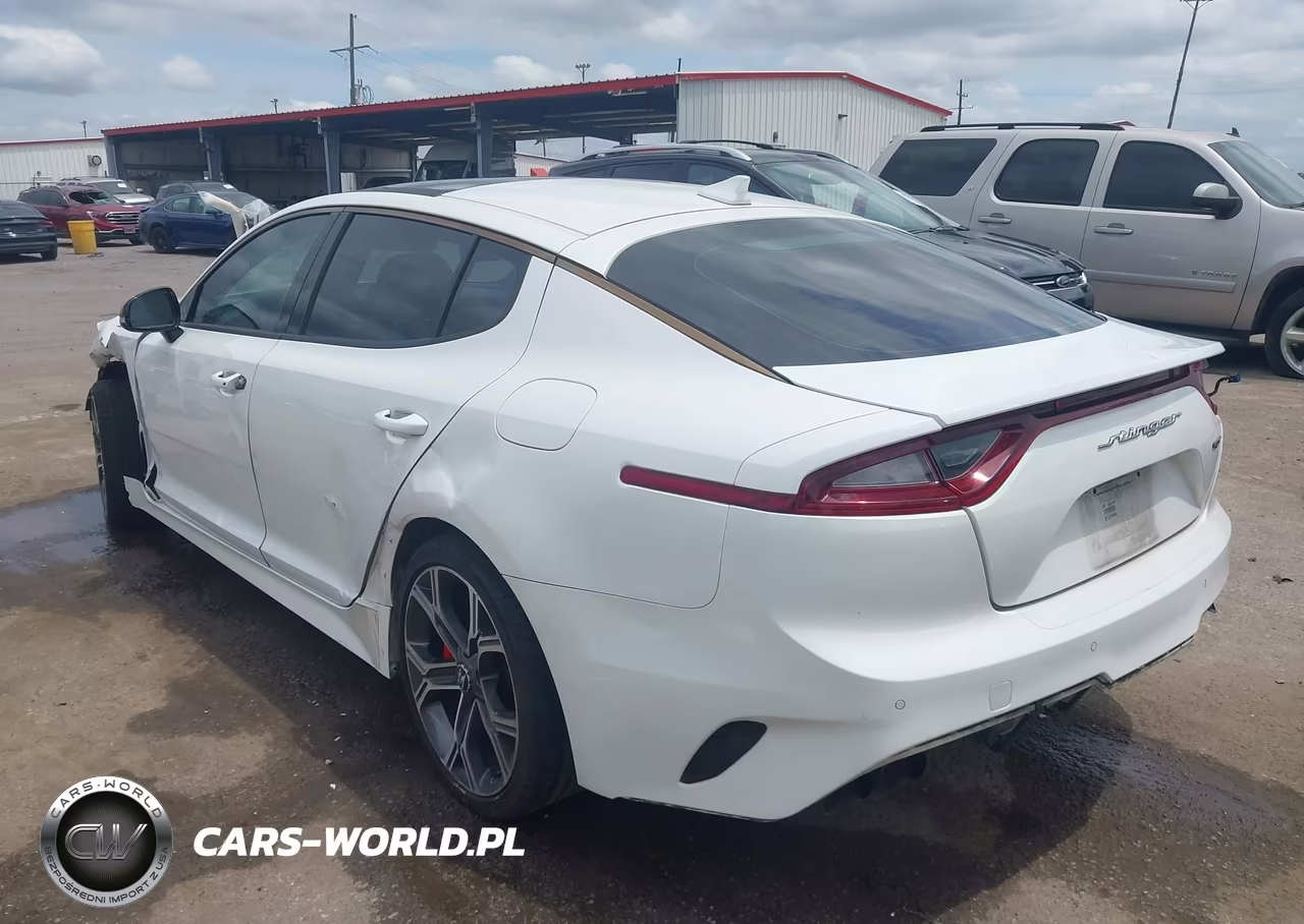 2018 Kia Stinger Gt2 VIN:KNAE55LC9J6017952 - 3
