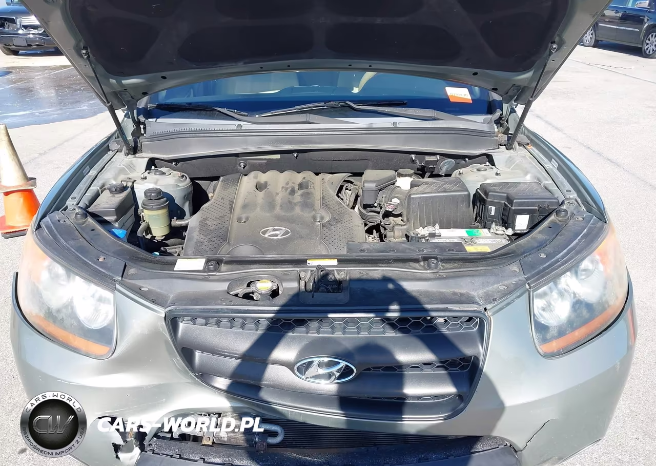 2008 Hyundai Santa Fe Gls VIN:5NMSG73D48H143900 - 10