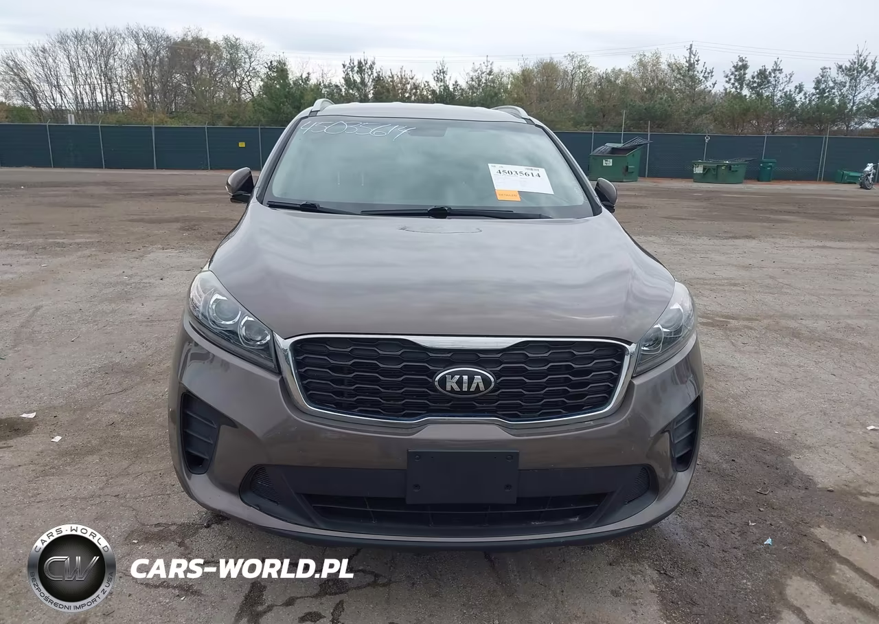 2019 Kia Sorento 2.4L Lx VIN:5XYPGDA33KG574471 - 12