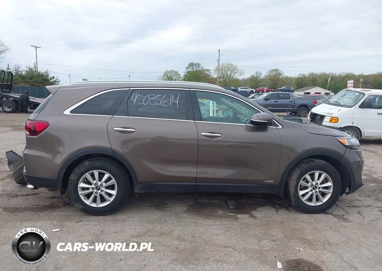 2019 Kia Sorento 2.4L Lx VIN:5XYPGDA33KG574471 - 13