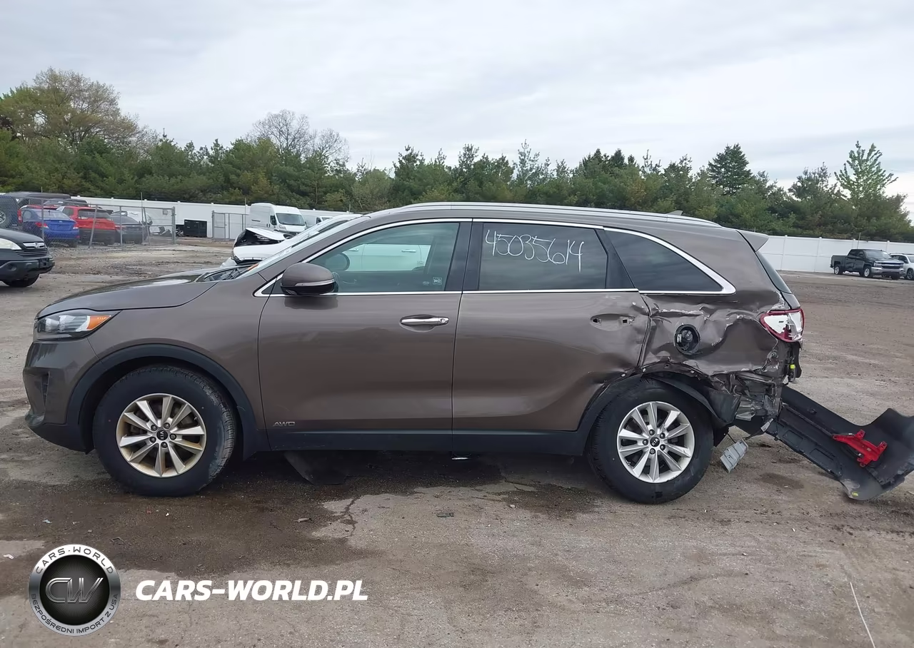 2019 Kia Sorento 2.4L Lx VIN:5XYPGDA33KG574471 - 14