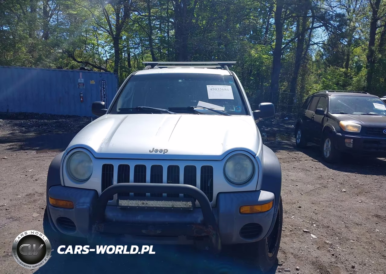 2004 Jeep Liberty Sport VIN:1J4GL48K04W235255 - 6