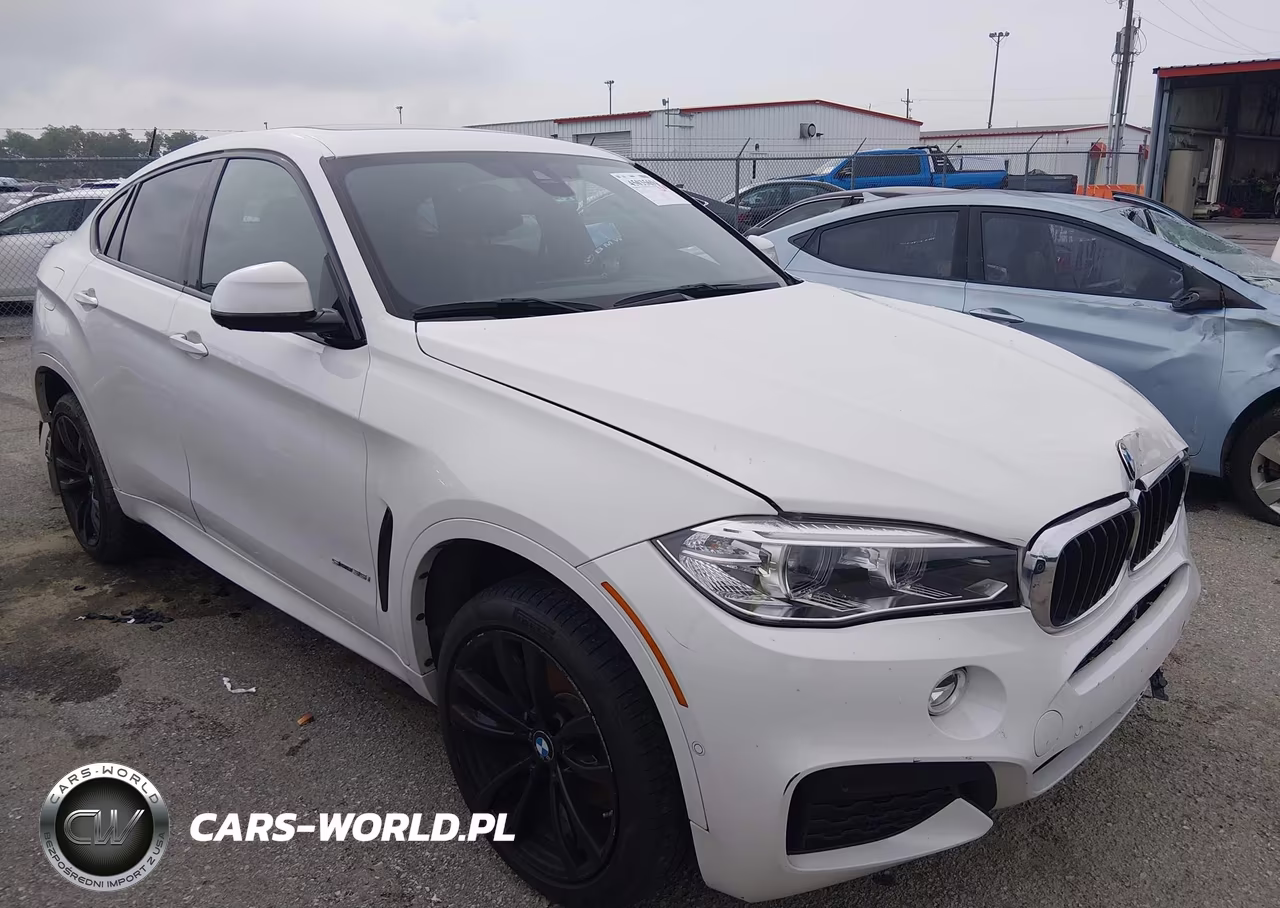 2019 BMW X6 Sdrive35I
