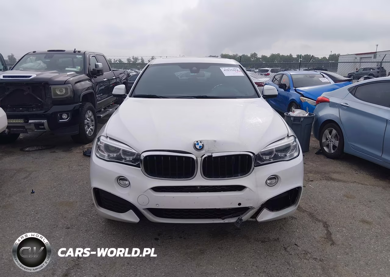 2019 BMW X6 Sdrive35I VIN:5UXKU0C51K0G92990 - 13