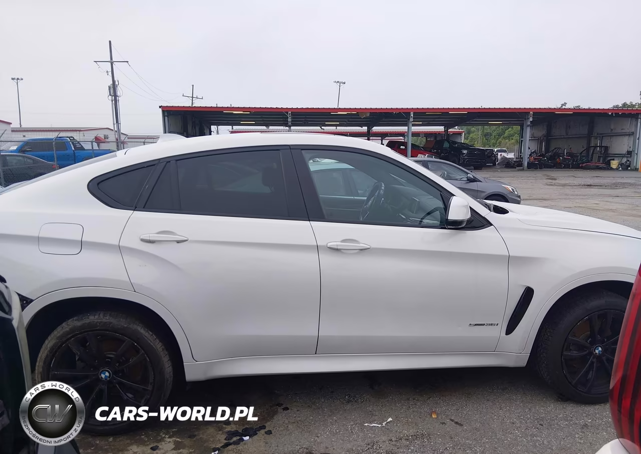2019 BMW X6 Sdrive35I VIN:5UXKU0C51K0G92990 - 14