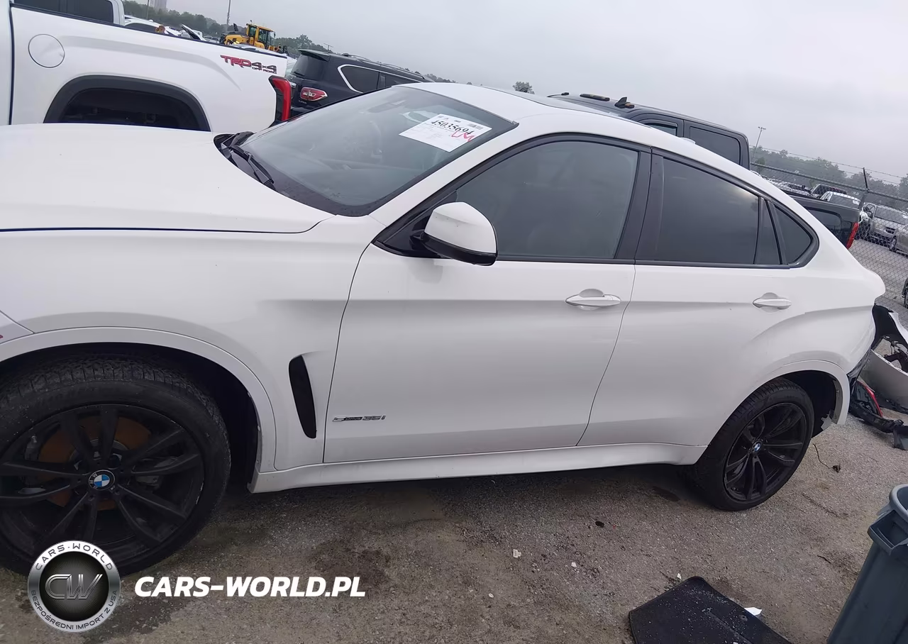 2019 BMW X6 Sdrive35I VIN:5UXKU0C51K0G92990 - 15